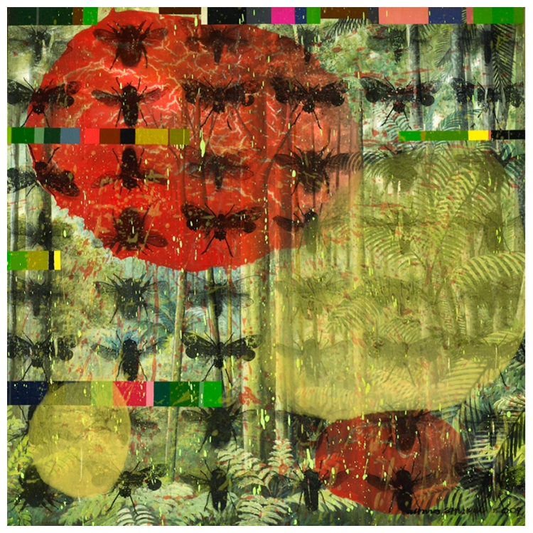 Ahmad Shukri Mohamed