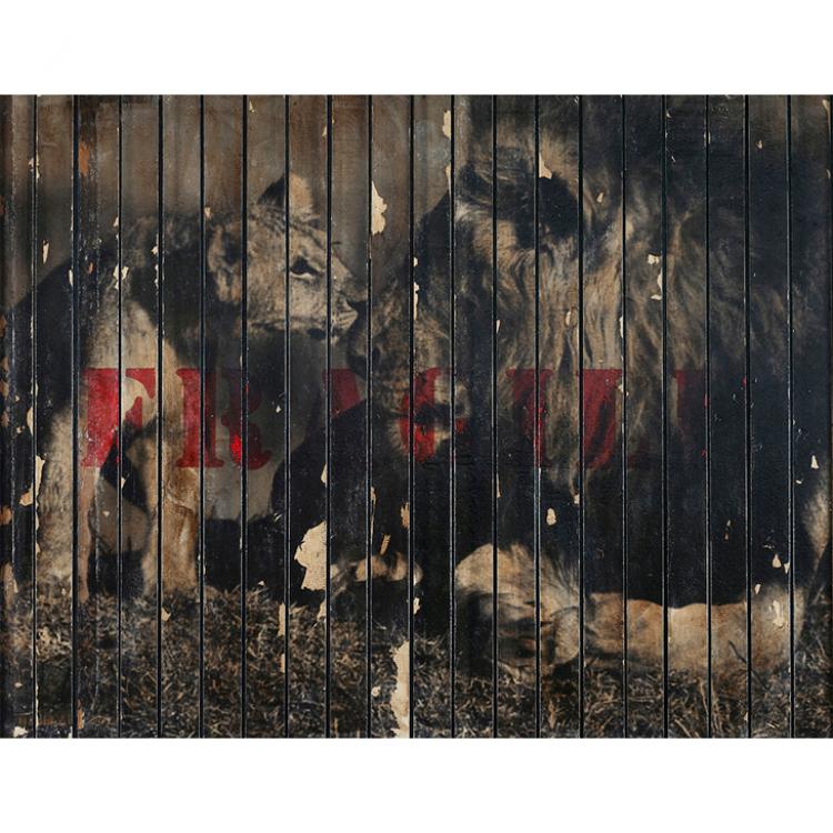 Najib Ahmad Bamadhaj